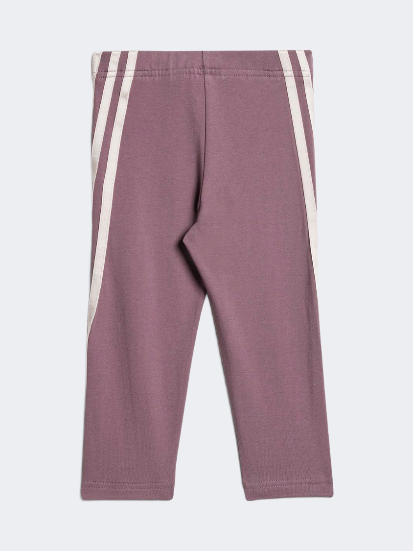 Adidas Dy Md Jog Baby-Girls Sportswear Set Sanpin/Shafig