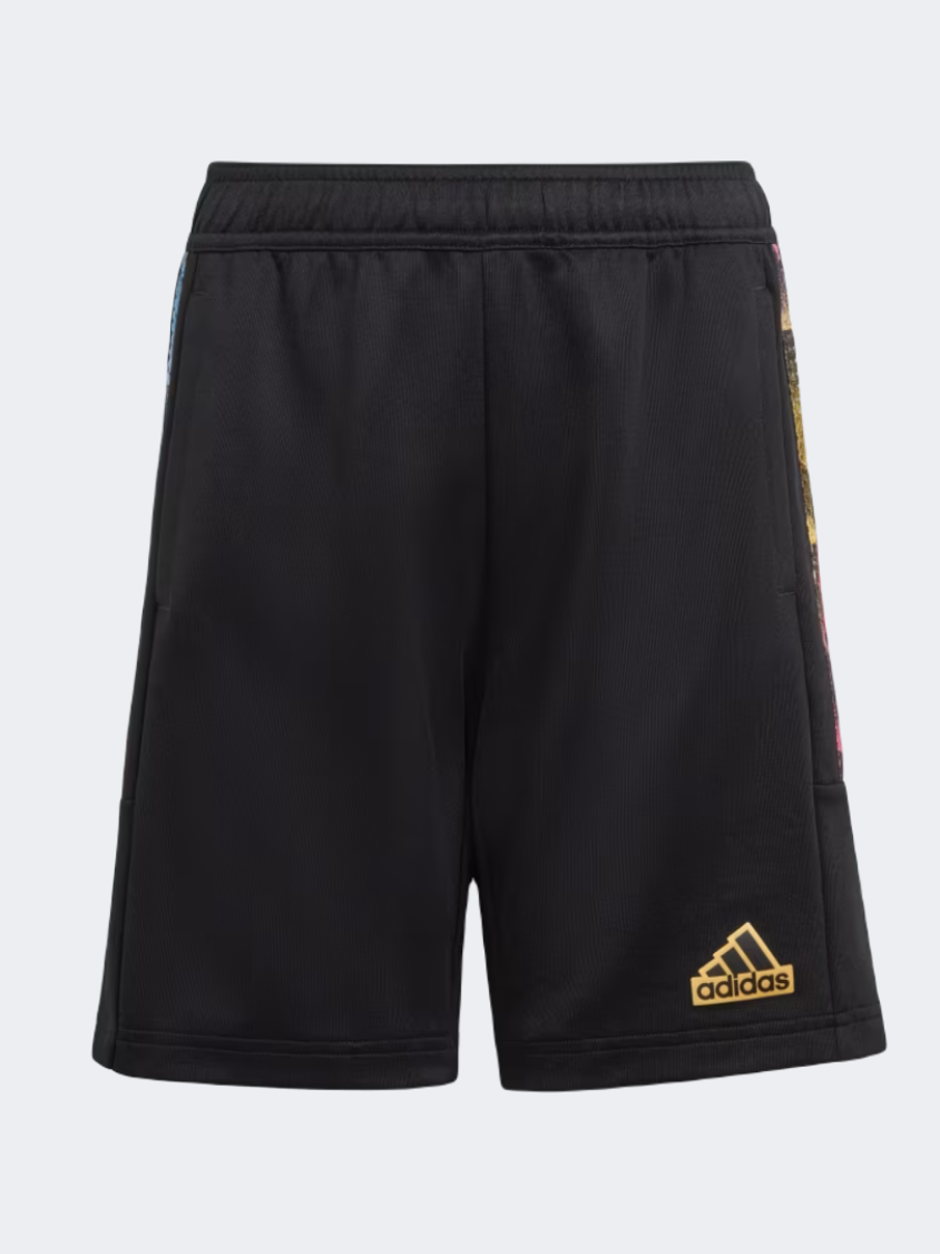 Adidas Hot Summer Boys Sportswear Short Black/Spark/Multi