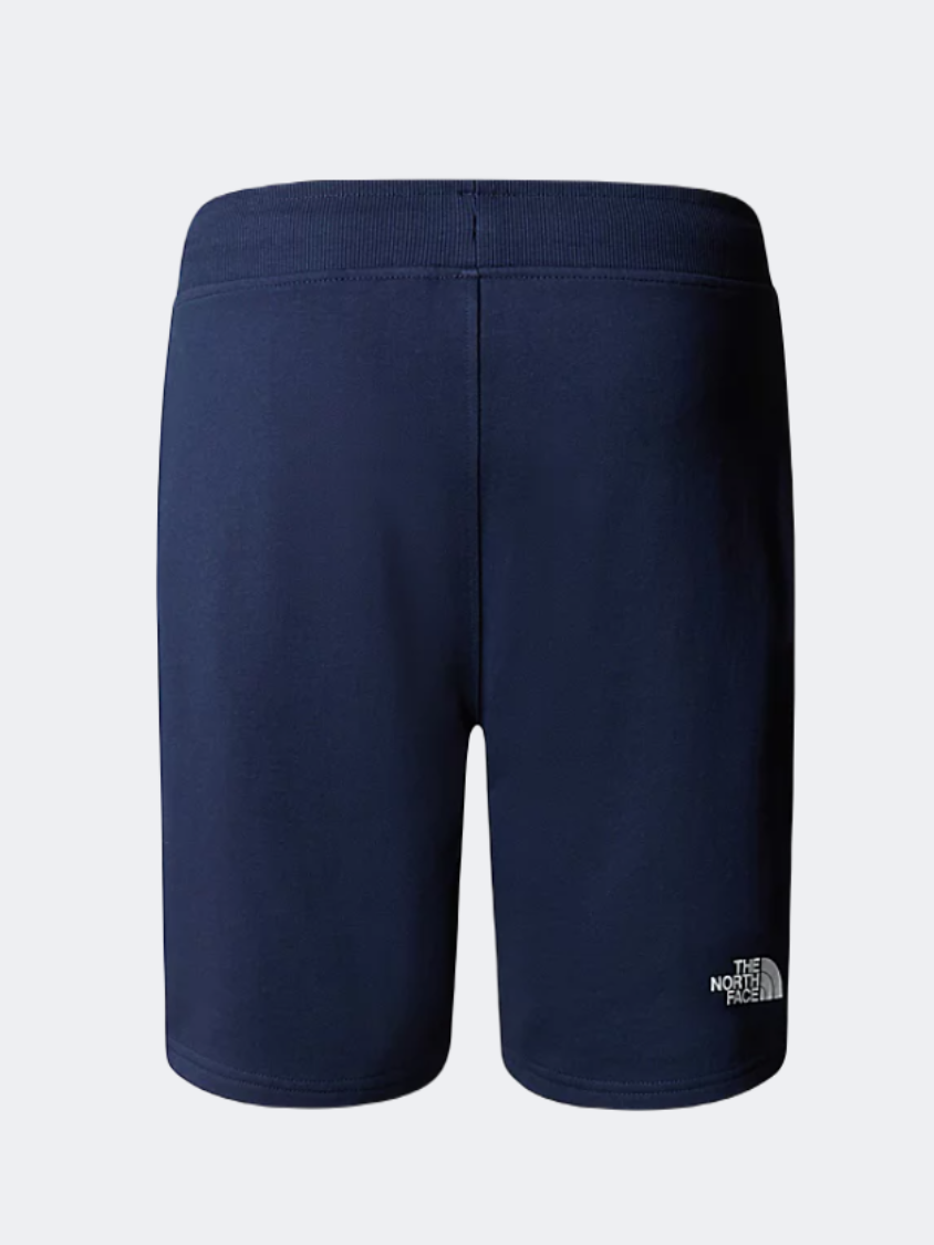 The North Face Standard Light Men Lifestyle Short Navy
