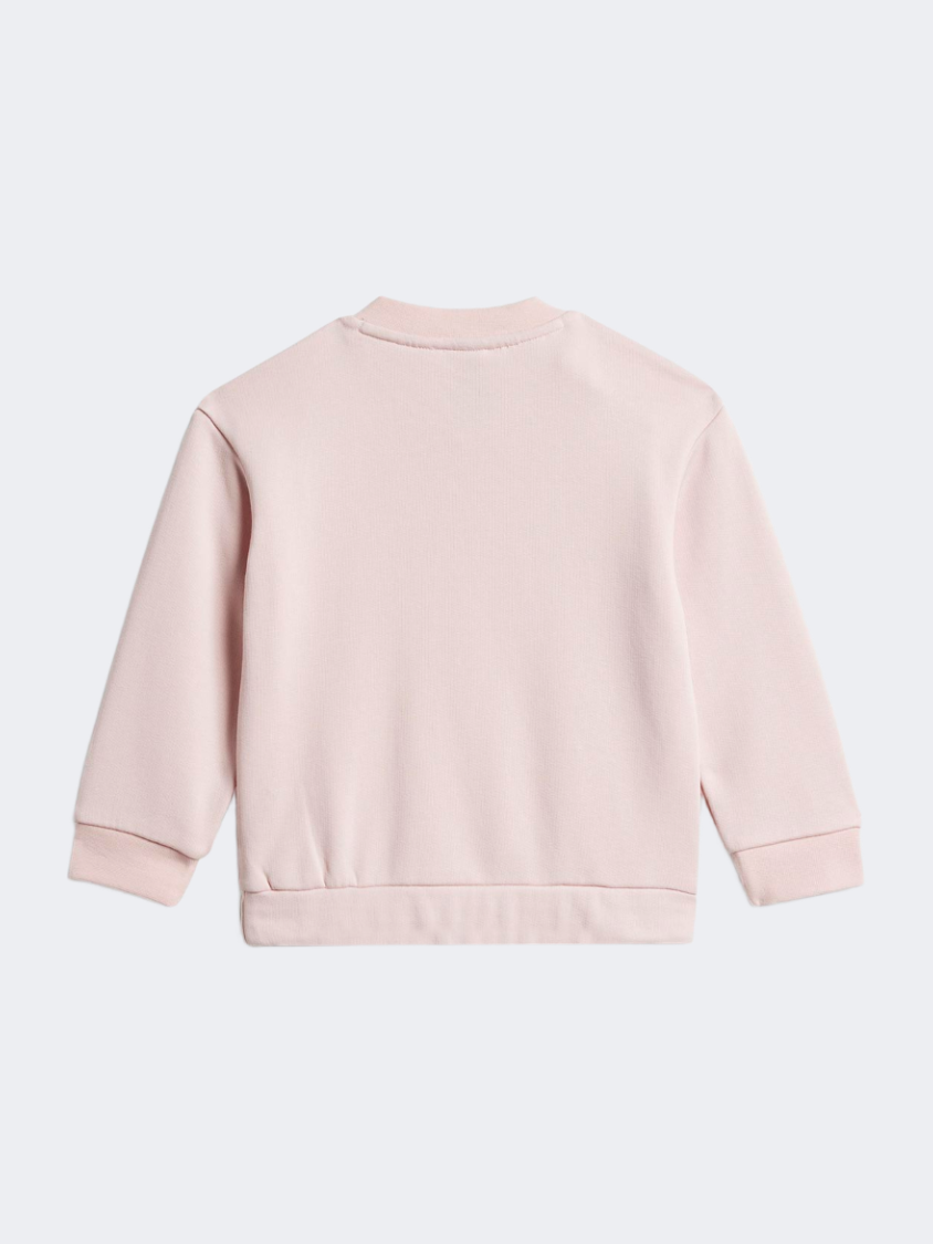 Adidas Dy Md Jog Baby-Girls Sportswear Set Sanpin/Shafig