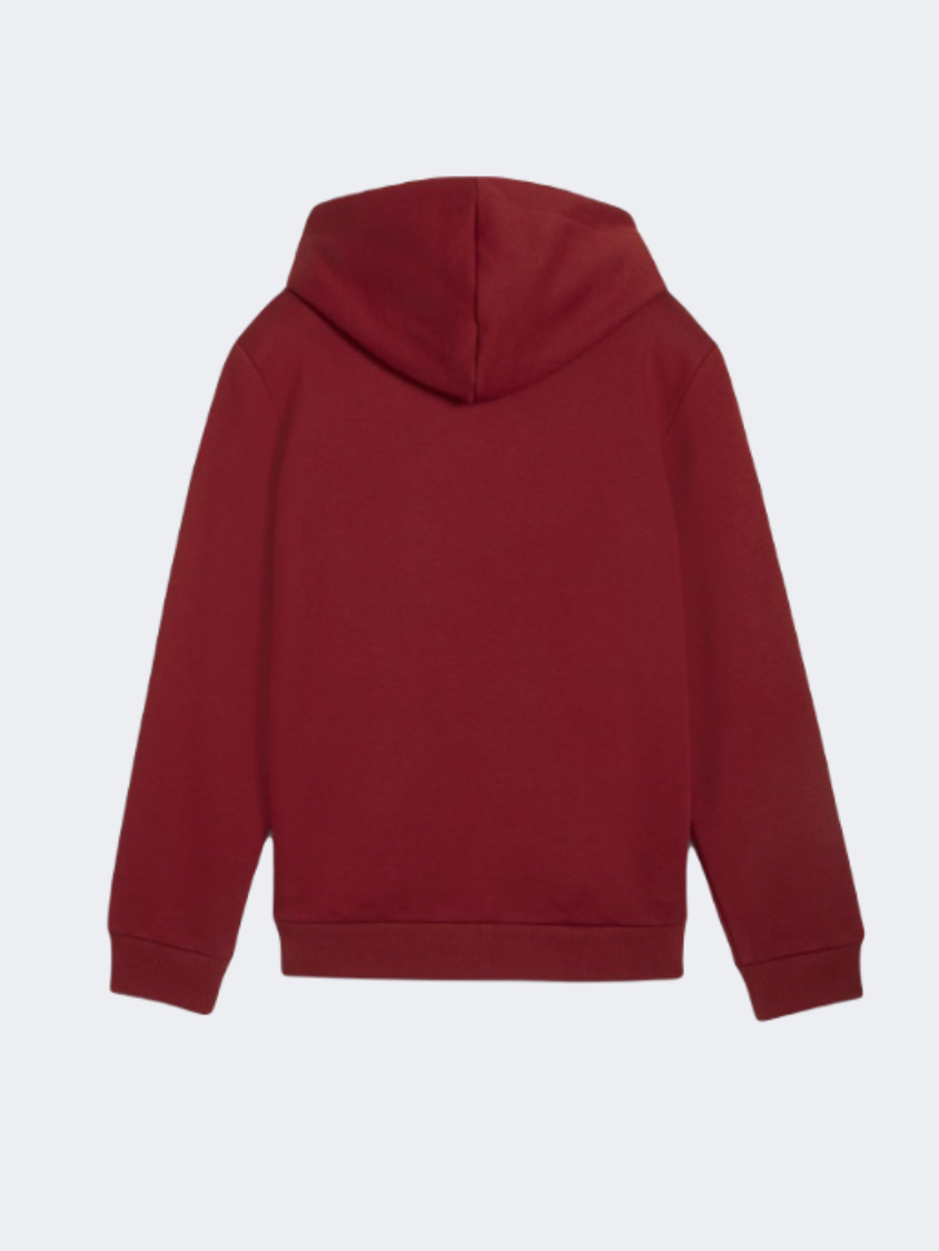 Puma Power Graphic Boys Training Hoody Intense Red