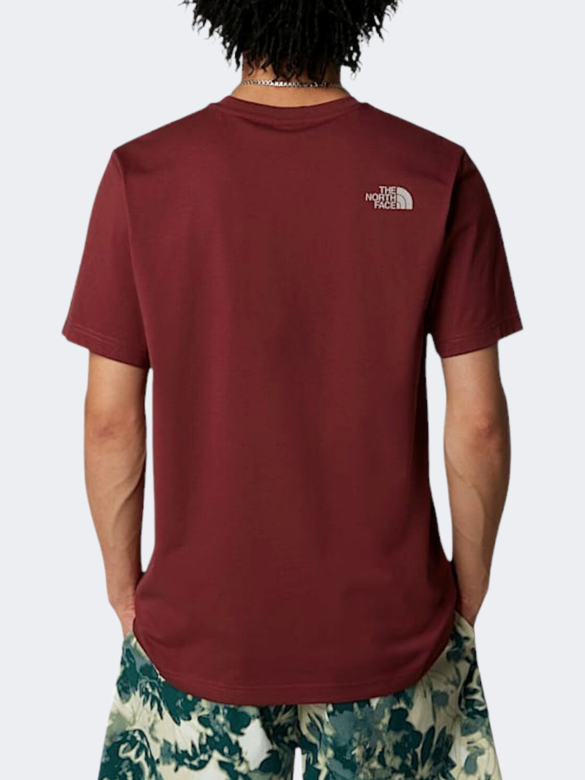 The North Face Easy Men Lifestyle T-Shirt Sumac/Moonstone Grey