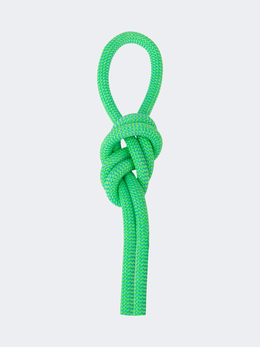 Salewa Speed Queen 9.1 Mm 60 Meters Climbing Rope Green