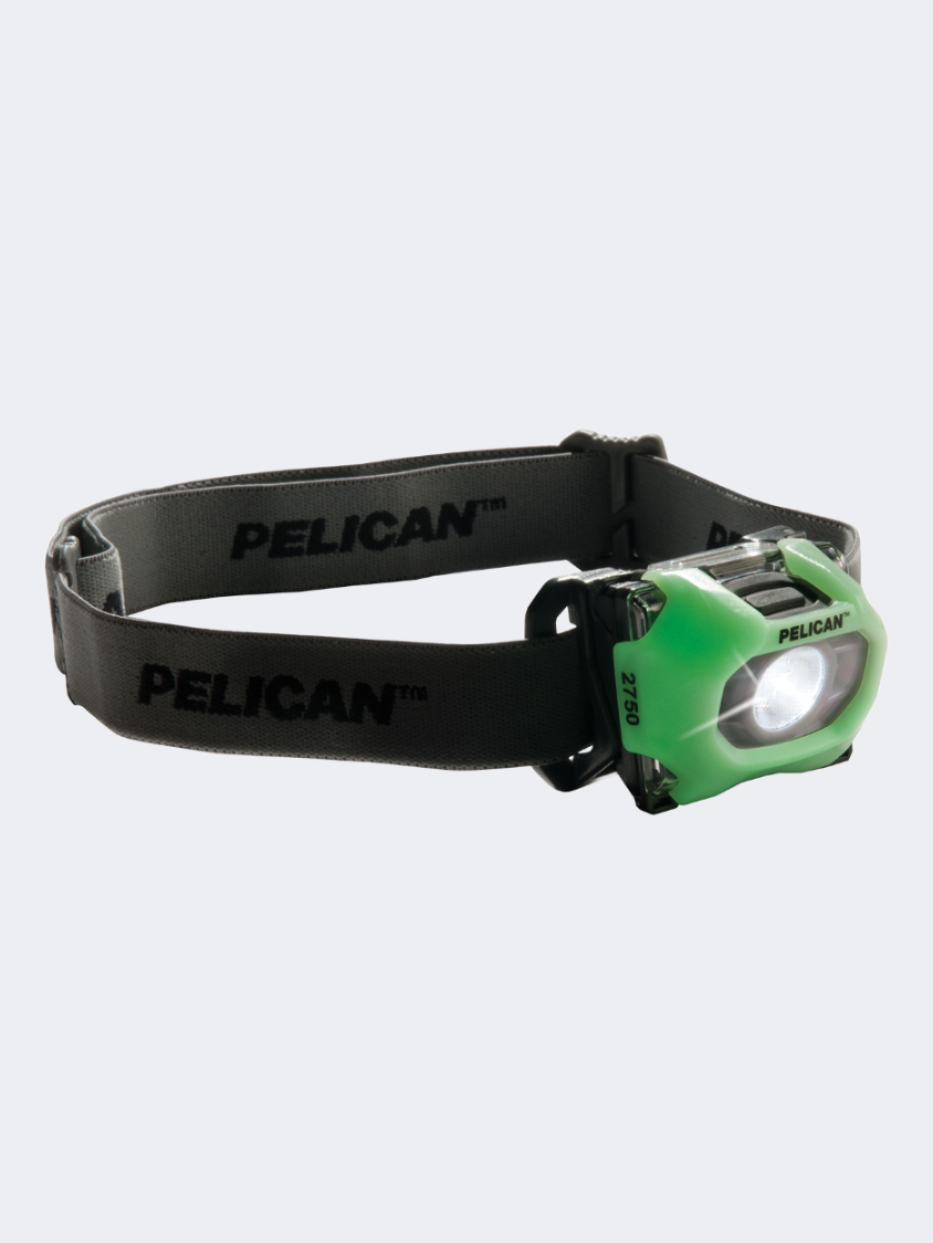Pelican 2750C Outdoor Lights Photo Luminescent