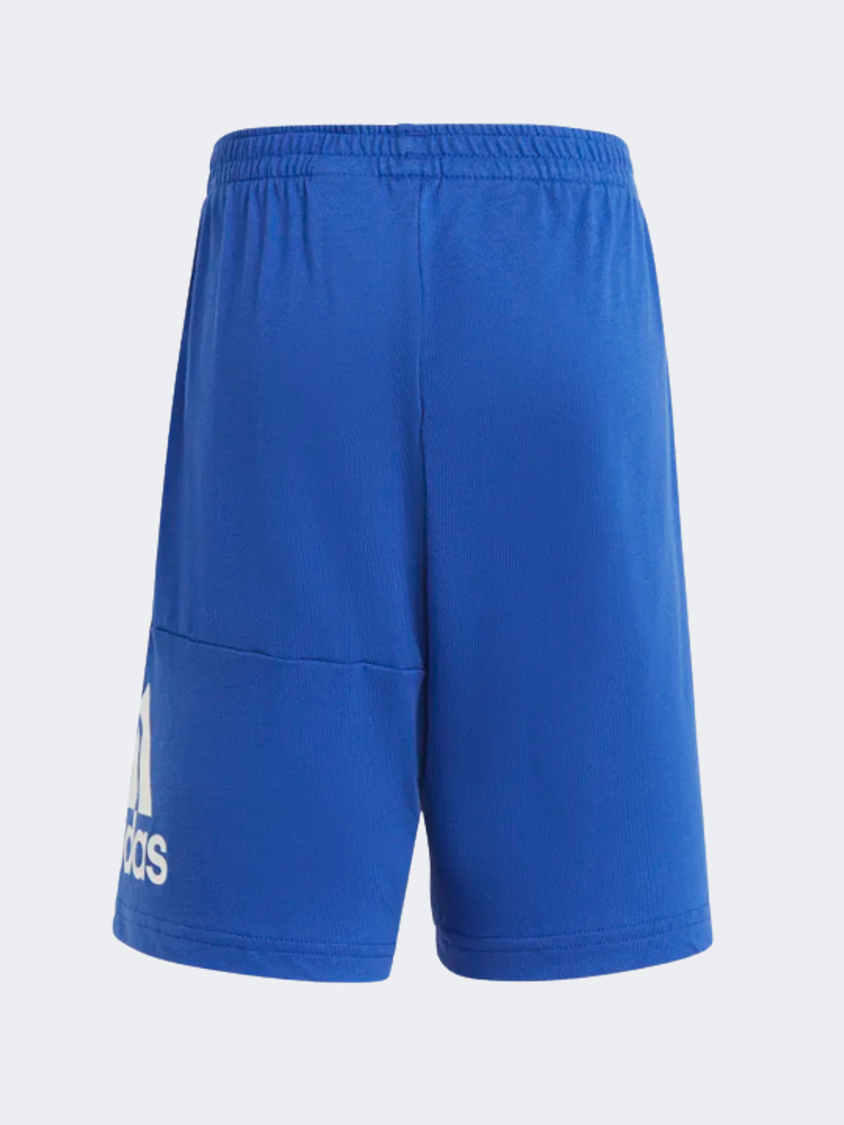 Adidas Essentials Logo Ps-Boys Sportswear Set Grey/Blue