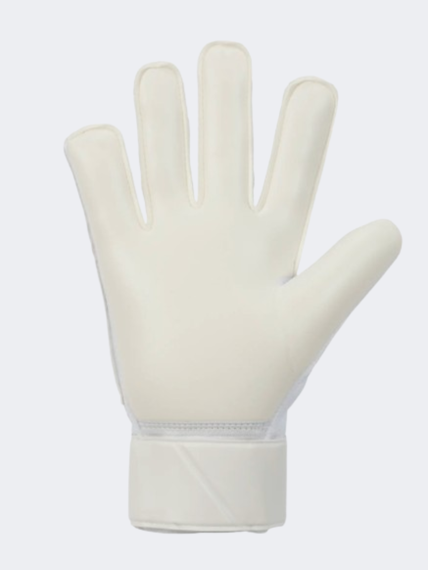 Nike Gk Match Men Football Gloves White/Platinum/Black