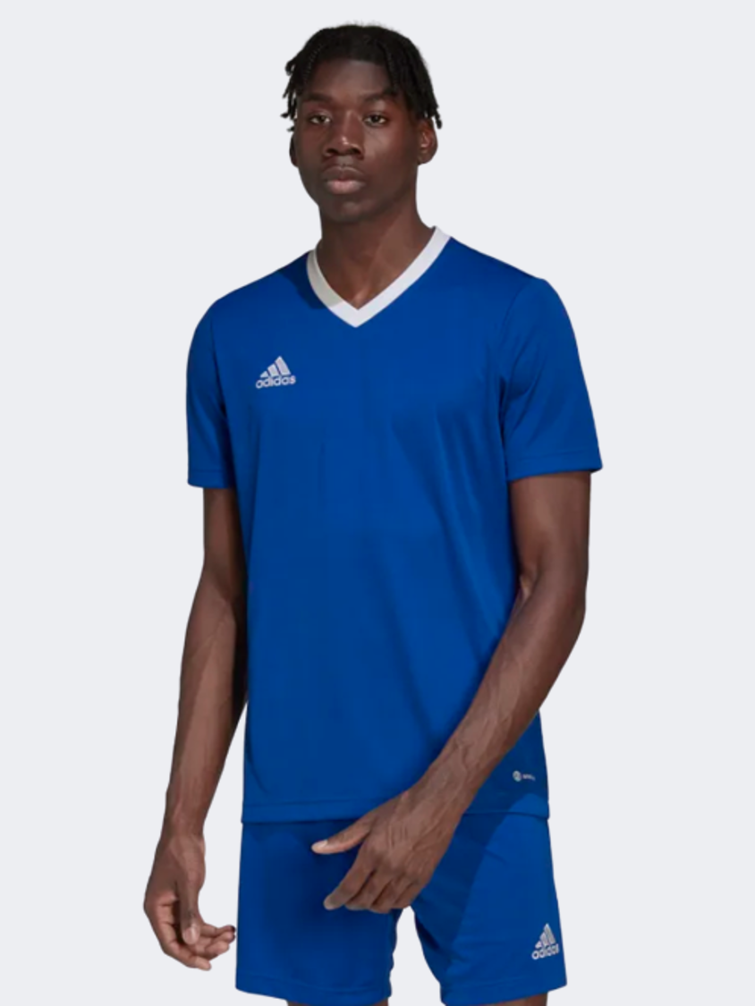 Royal blue best sale adidas shirt