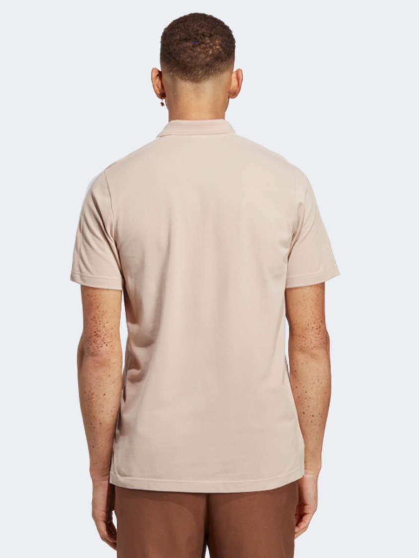 Ic9313-M 3S Pq Ps Wontau/White