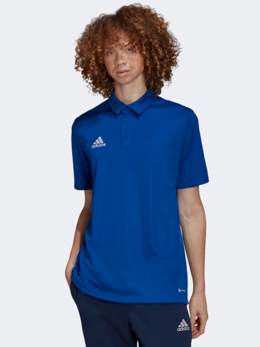 adidas royal blue polo