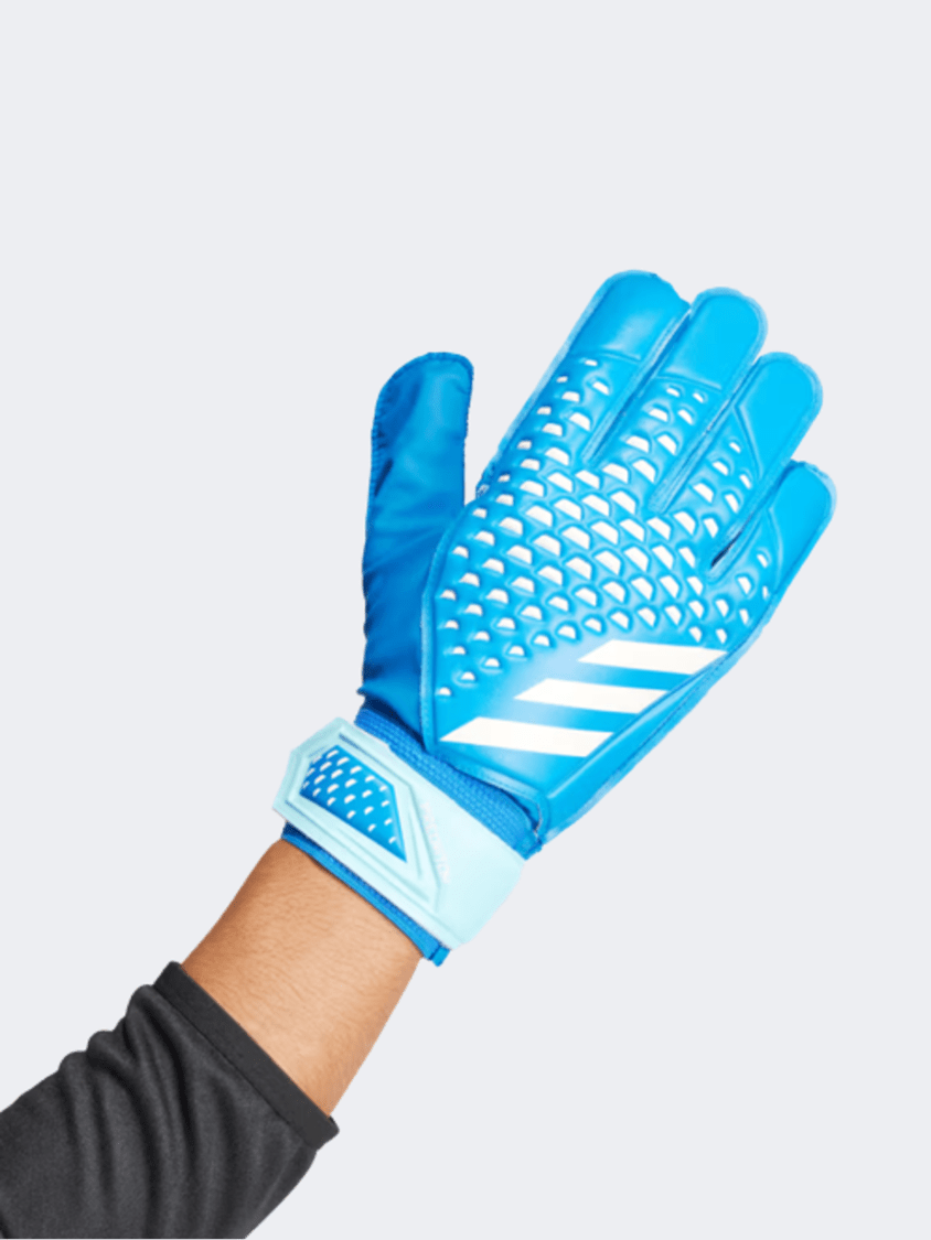 Blue and white adidas football sale gloves