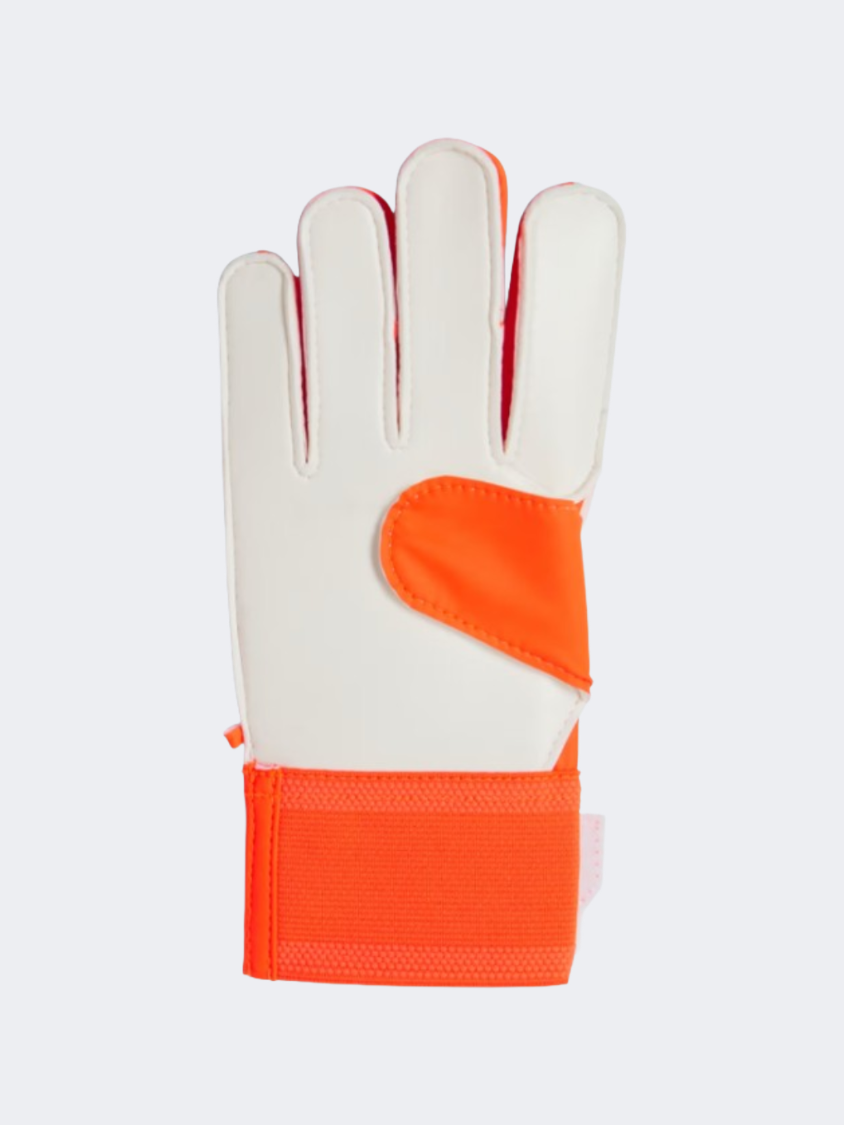 Adidas Predator Kids-Boys football Gloves Blue/Solar Red/White