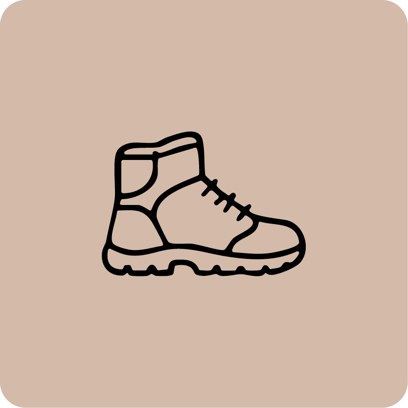 Hiking Shoes