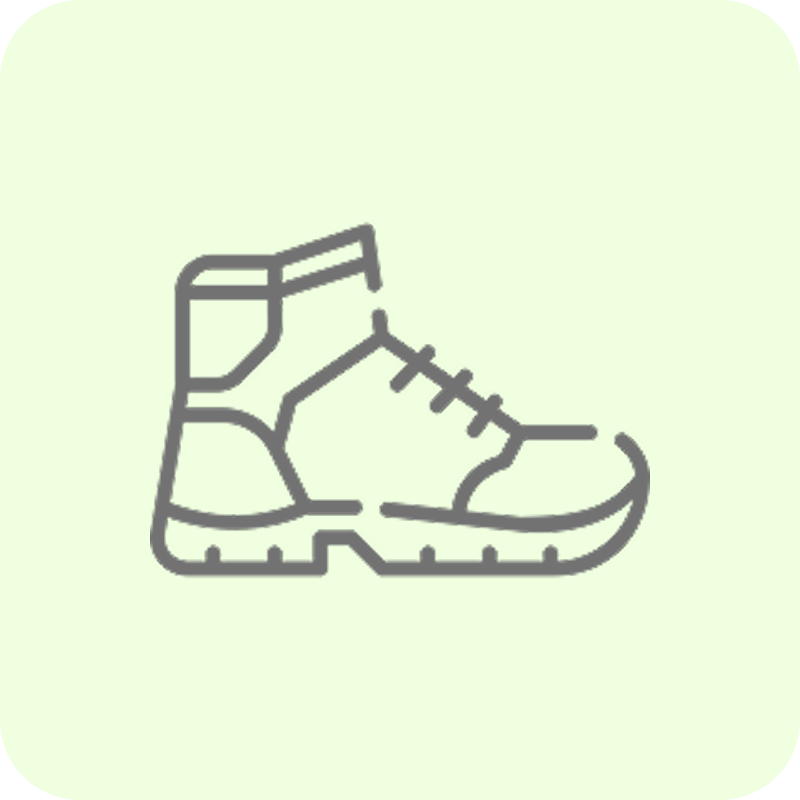 Hiking Shoes
