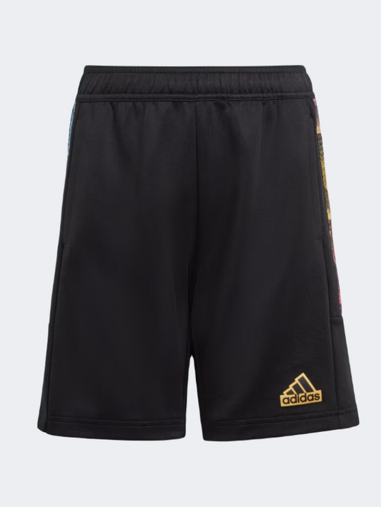 Adidas Hot Summer Boys Sportswear Short Black/Spark/Multi