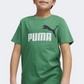 Puma Essential Plus 2 Col Logo Boys Lifestyle T-Shirt Archive Green