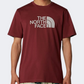The North Face Easy Men Lifestyle T-Shirt Sumac/Moonstone Grey