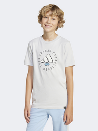 Adidas Fun Graphic Kids-Boys Sportswear T-Shirt Grey