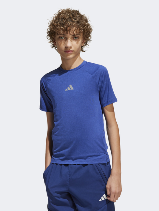 Adidas All Sports Favorite Kids-Boys Sportswear T-Shirt Royal Blue