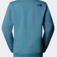 The North Face Drew Peak Women Lifestyle Sweatshirt Algae Blue