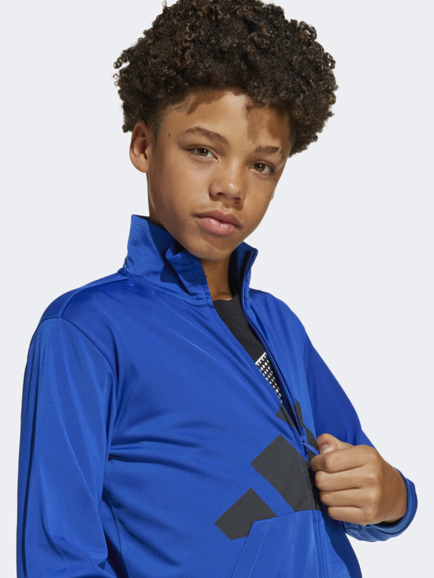 Adidas Essentials Climacool Kids-Boys Sportswear Tracksuit Royal Blue/Black