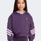 Adidas Disney Minnie Mouse Little-Girls Sportswear Hoody Aurora Plum/Pink
