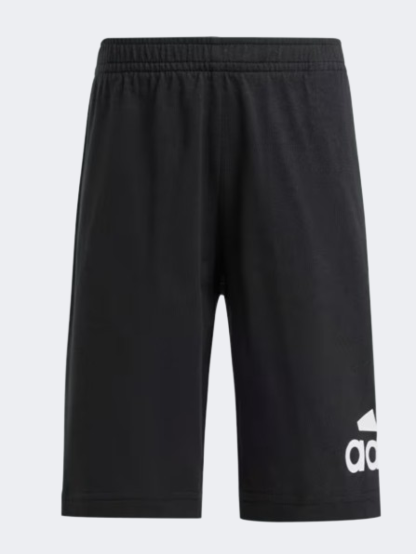 Adidas Essentials Logo Little Boys Sportswear Set Bright Red/Black