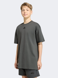 Adidas Kids-Boys Sportswear T-Shirt Grey Six/Black