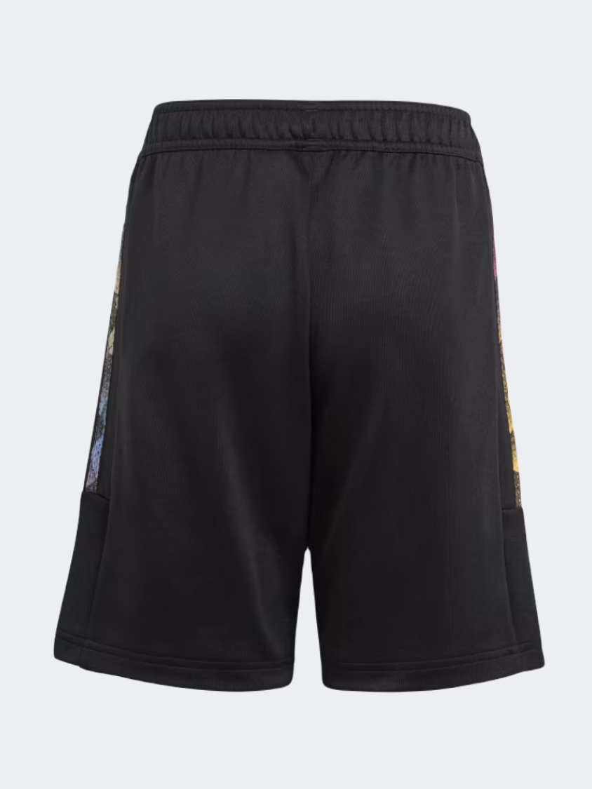 Adidas Hot Summer Boys Sportswear Short Black/Spark/Multi