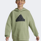 Adidas Future Icons Logo Kids-Boys sportswear Hoody Tent Green/Black