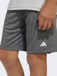 Adidas Train Essentials Kids-Boys Sportswear Short Grey/White