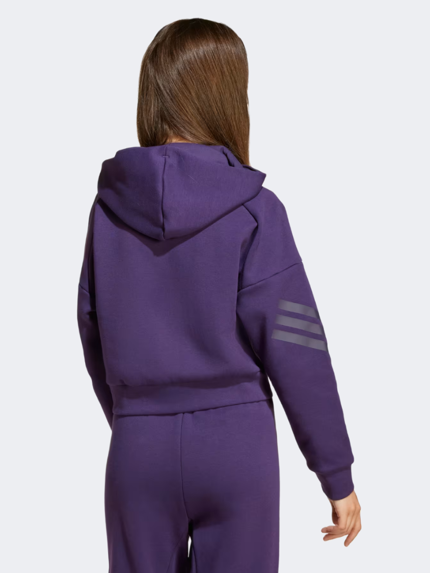 Adidas Future Icons 3-Stripes Full-Zip Hooded Track Kids-Girls Sportswear Hoody Aurora Plum