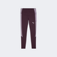 Puma Evostripe Women Lifestyle Tight Midnight Plum