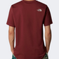 The North Face Easy Men Lifestyle T-Shirt Sumac/Moonstone Grey
