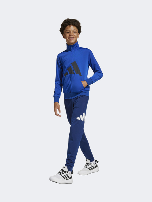 Adidas Essentials Climacool Kids-Boys Sportswear Tracksuit Royal Blue/Black
