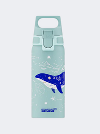 Sigg Wmb One Dive 0.6 L زجاجة ماء خارجية أخضر أزرق