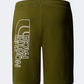 The North Face Graphic Light Men Lifestyle Short Forest Olive