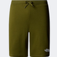 The North Face Graphic Light Men Lifestyle Short Forest Olive