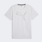 Puma Performance Cat Men Training T-Shirt Silver Mist