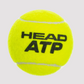 Head Atp Metal Can 4B Unisex Tennis Ball Yellow