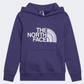 The North Face Drew Peak Boys Lifestyle Hoody Cave Blue