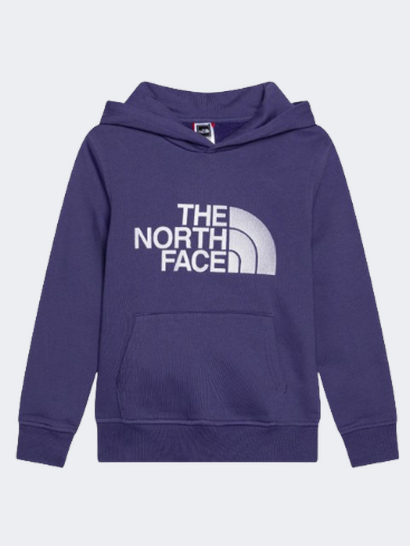 The North Face Drew Peak Boys Lifestyle Hoody Cave Blue