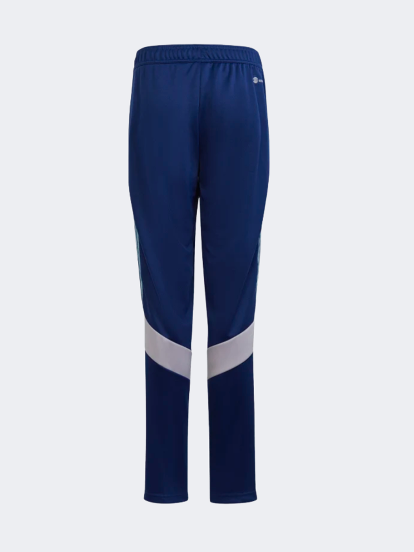 HS7486 Tiro Pnt Y Vicblu