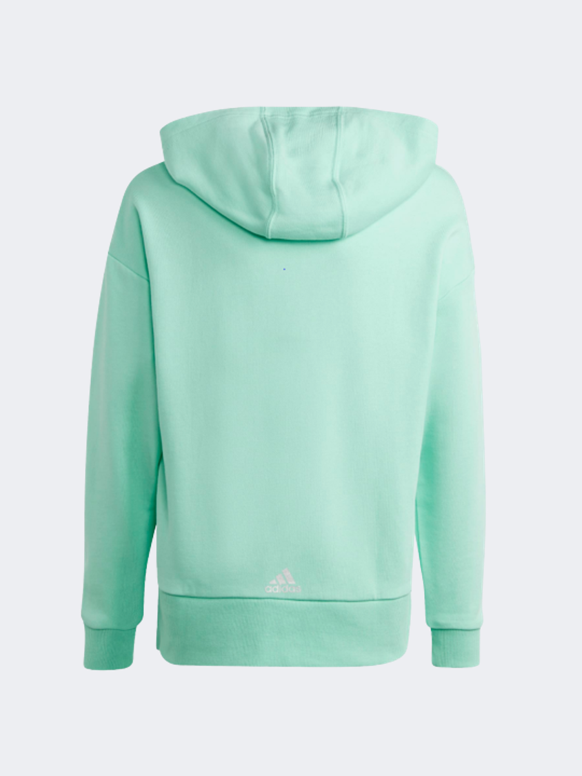 Adidas Dance Graphic Hooded Gs-Girls Sportswear Sweatshirt Green/Purple
