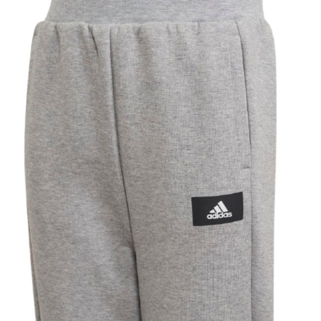 Adidas Future Icons Gs-Boys Training Pant Heather Grey/White