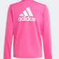 Adidas Essentials Big Logo Kids-Girls Sportswear Suit Fuchsia / White
