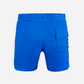Top Ten Straight Men Beach Swim Shorts Blue 2044