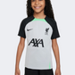 Nike Liverpool Fc Strike Boys Football T-Shirt Grey/Green/Black