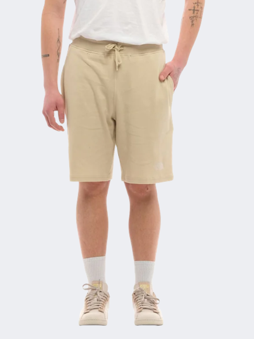 The North Face Graphic Light Men Lifestyle Short Gravel