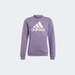 Adidas Essentials Big Logo Kids-Girls Sportswear Sweatshirt Shadow Violet/Pink