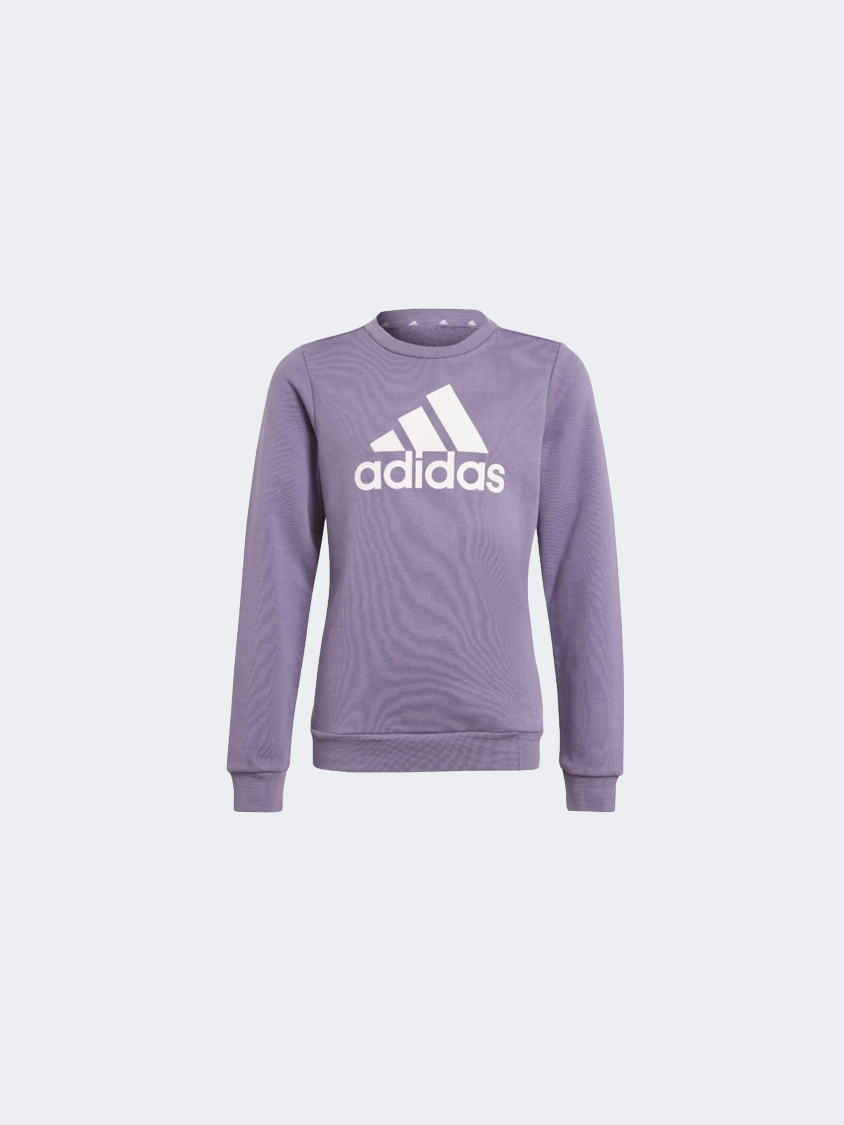 Adidas Essentials Big Logo Kids-Girls Sportswear Sweatshirt Shadow Violet/Pink